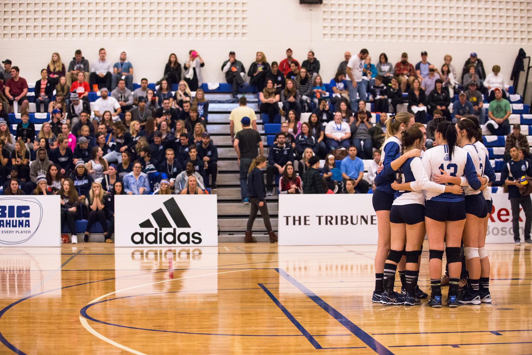 Knights volleyball & basketball tryout dates announced