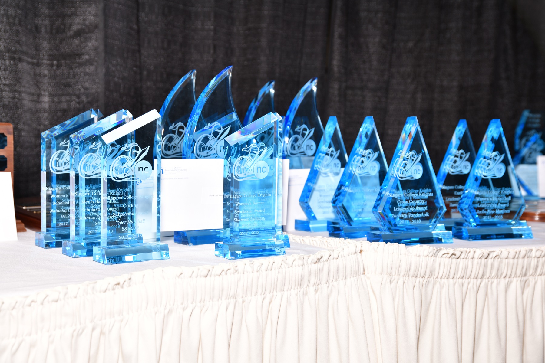 &nbsp;Otten, Desjardins honoured with top hardware at Niagara College&rsquo;s Virtual Athletic Awards Banquet
