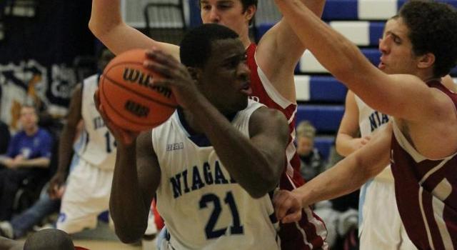 Knights Basketball Ready for the Lions