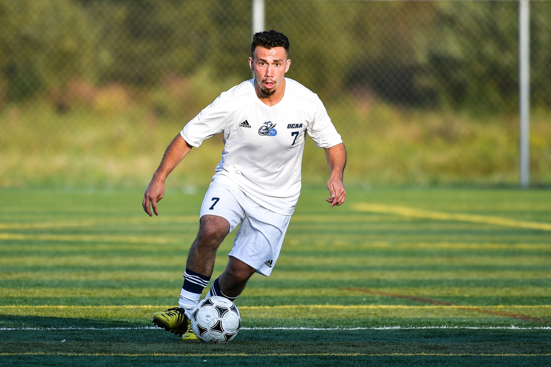 RECAP: Frigole shines as Knights topple Mountaineers in season opener