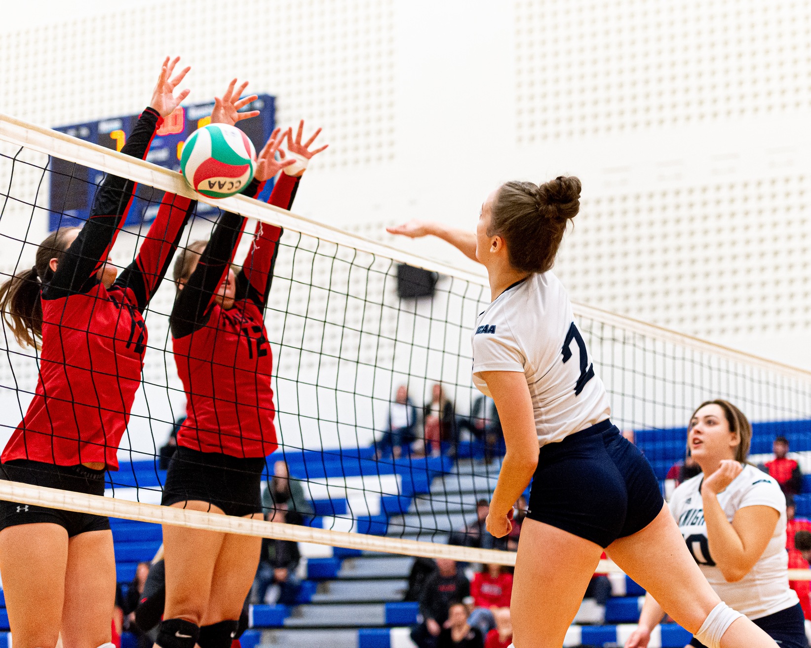 Knights Women&rsquo;s Volleyball Loses Two Straight to Humber and Fanshawe