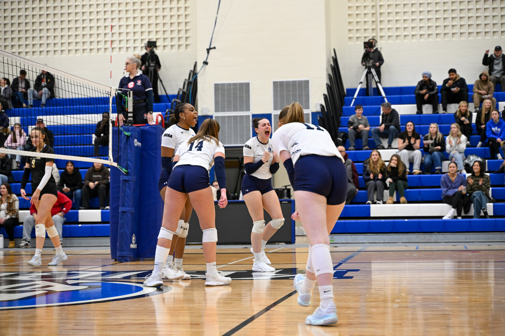 Successful &lsquo;Senior Night&rsquo; for the Knights