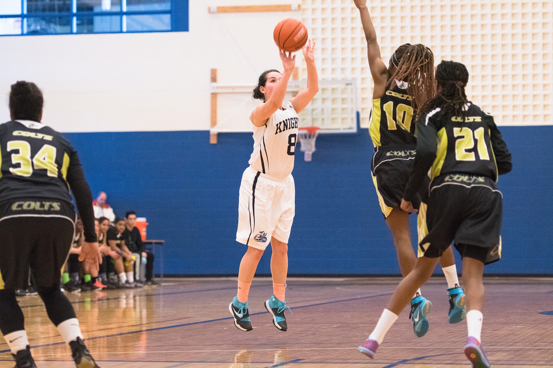 RECAP: Ingribelli notches career high as Knights advance to OCAA Championship