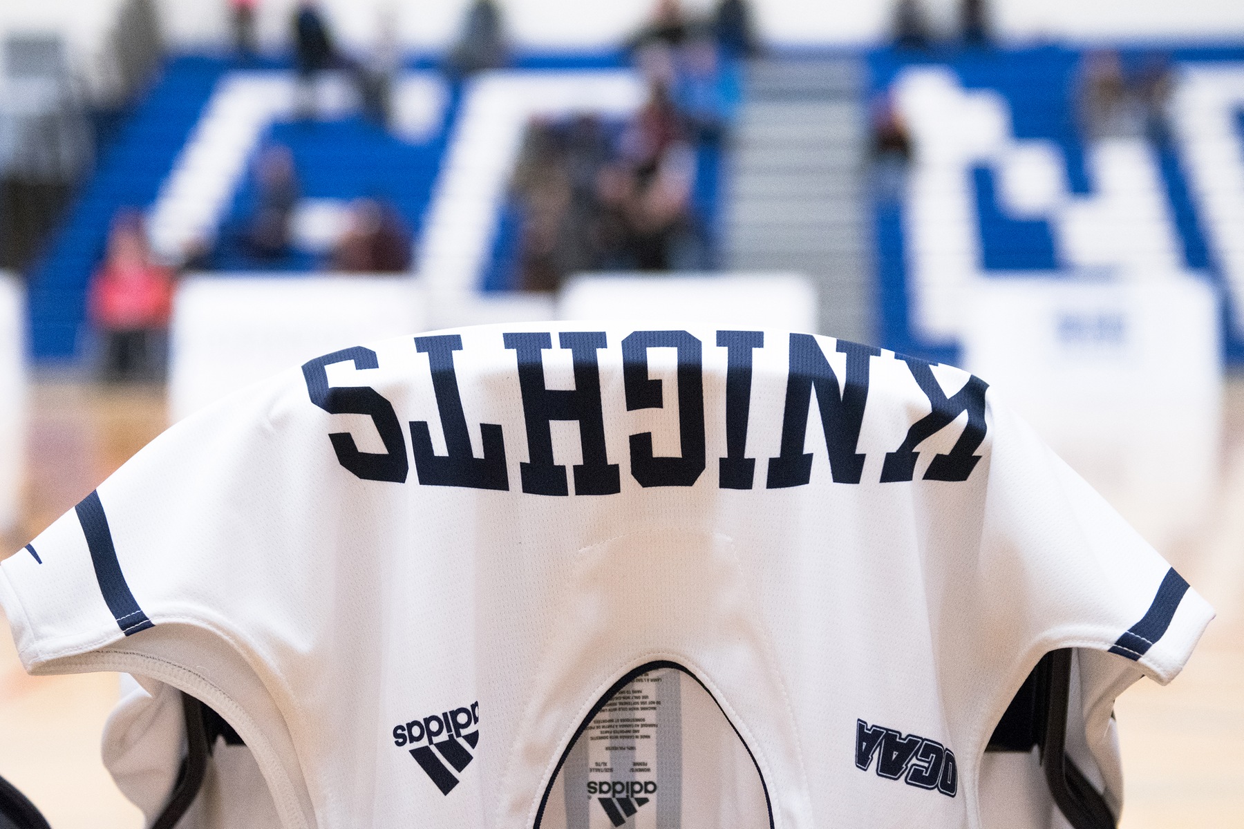 PREVIEW: Knights look to tame Lions with crucial home victory