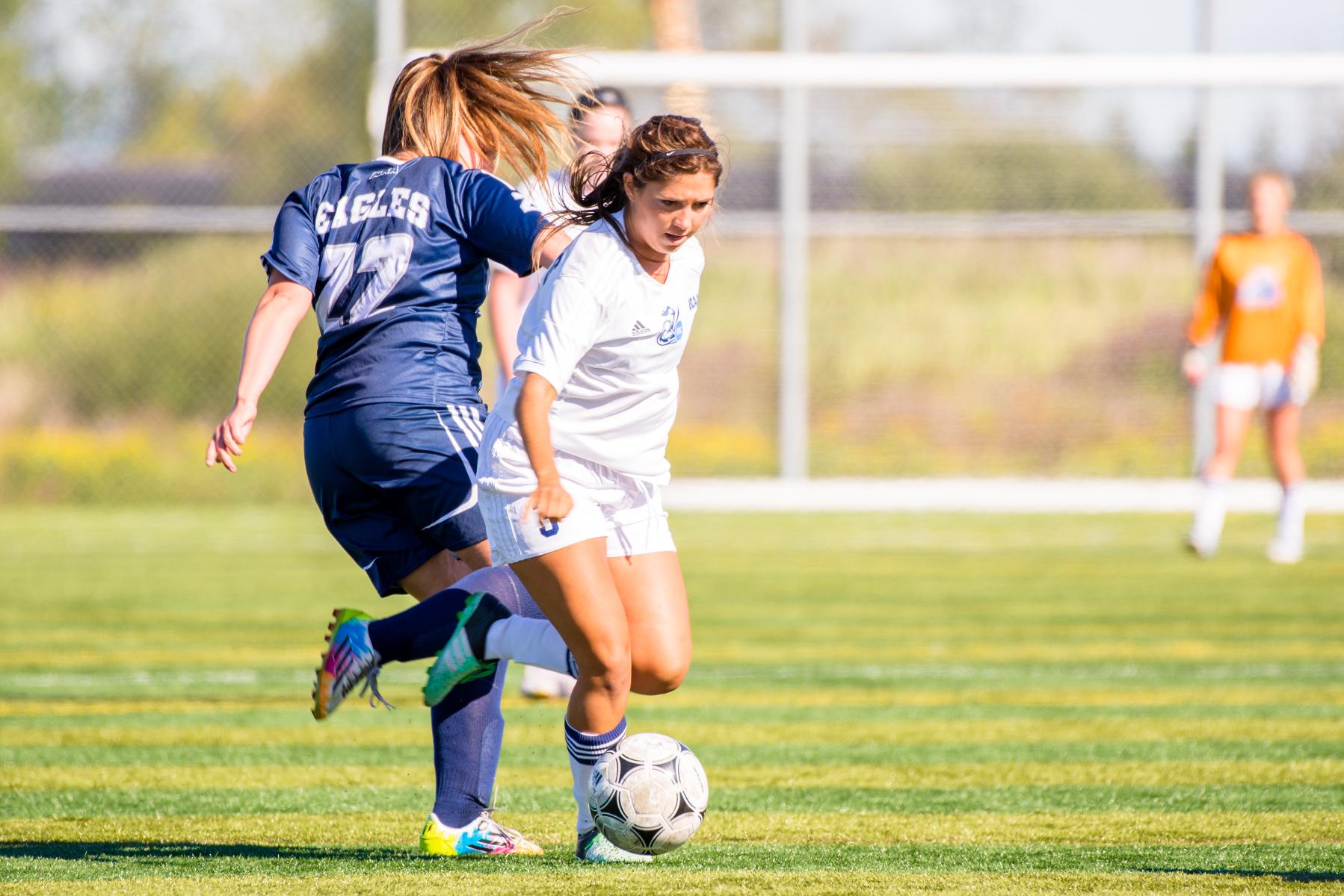 PREVIEW: Niagara welcomes Bruins to Welland for key divisional matchup
