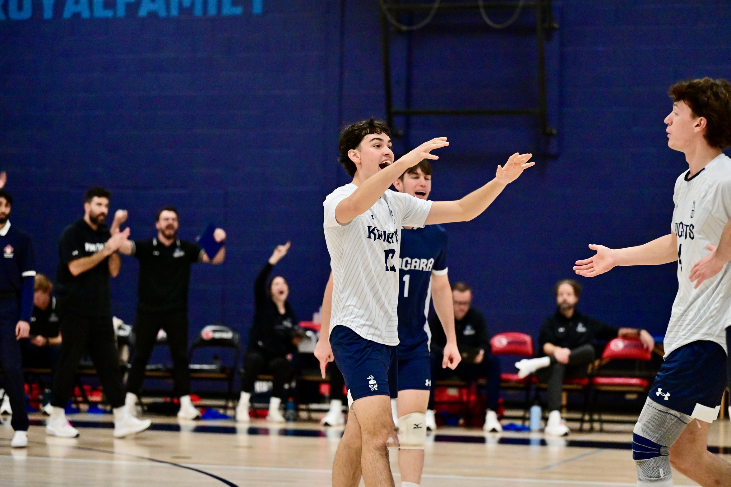 Knights Tame Royals