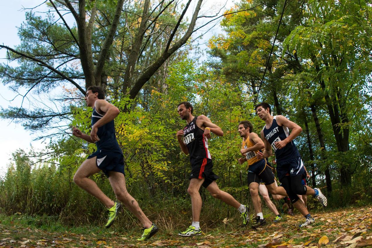 Morgan Yeates, from student-athlete to student-governance